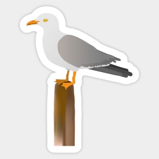 Seagull Sticker